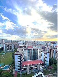The Rainforest (D23), Condominium #244116051